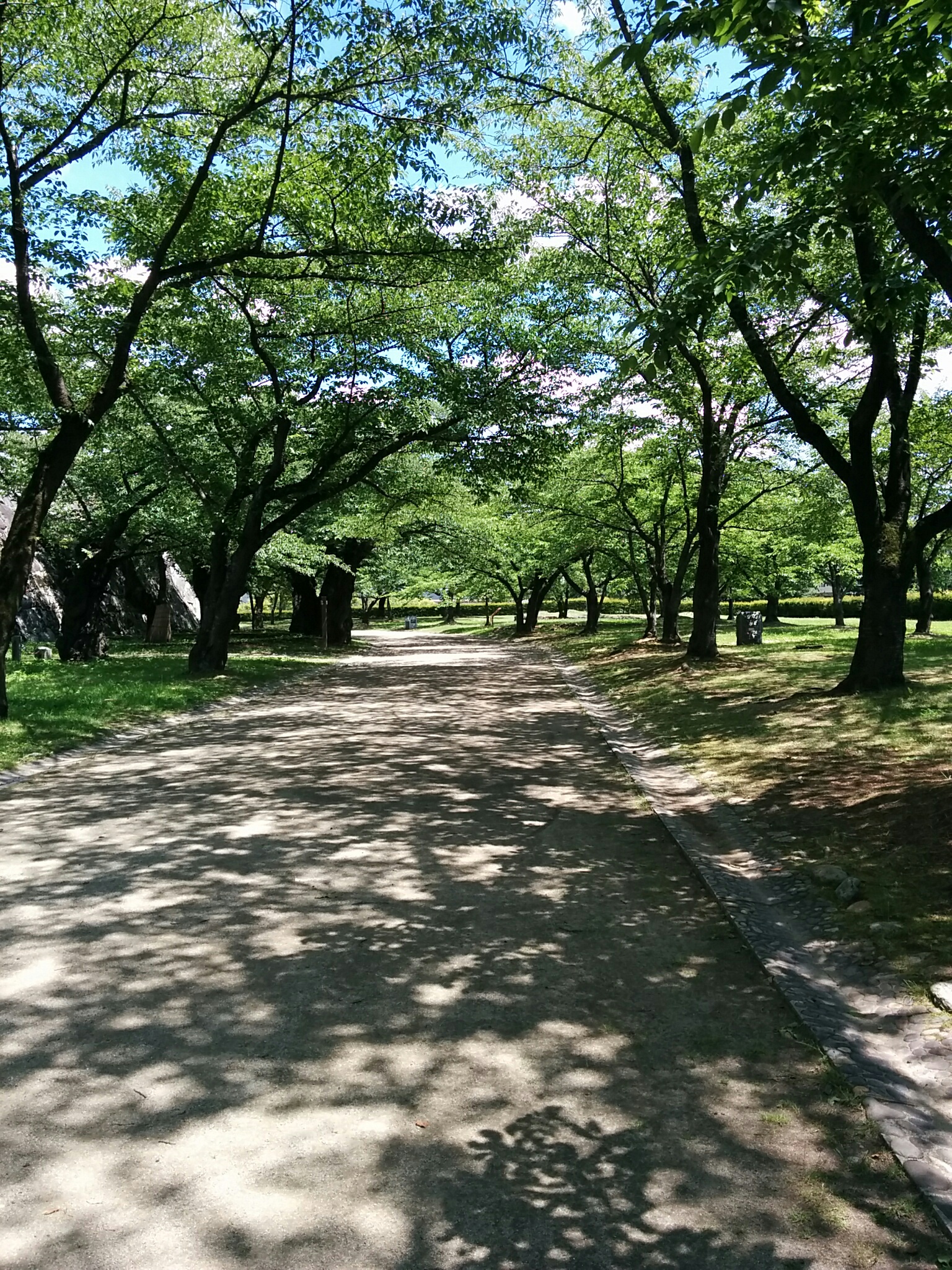有限会社遠野食肉センターの居酒屋スタッフの採用情報一覧ページ